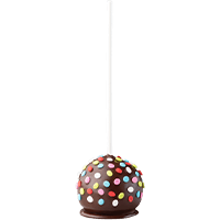 Chocolate Cake Pop